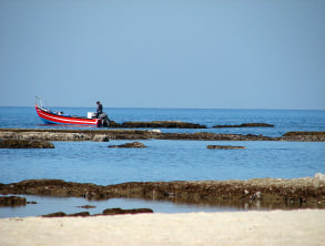 picture